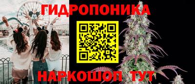 соль курить ск Пушкино