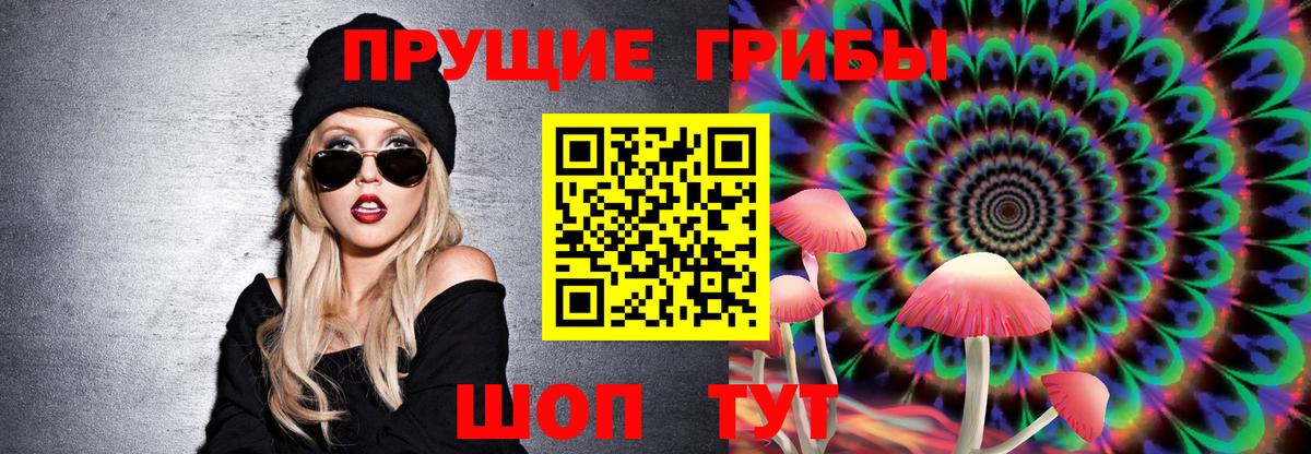 Галлюциногенные грибы Cubensis  Вход с VPN  Саров 