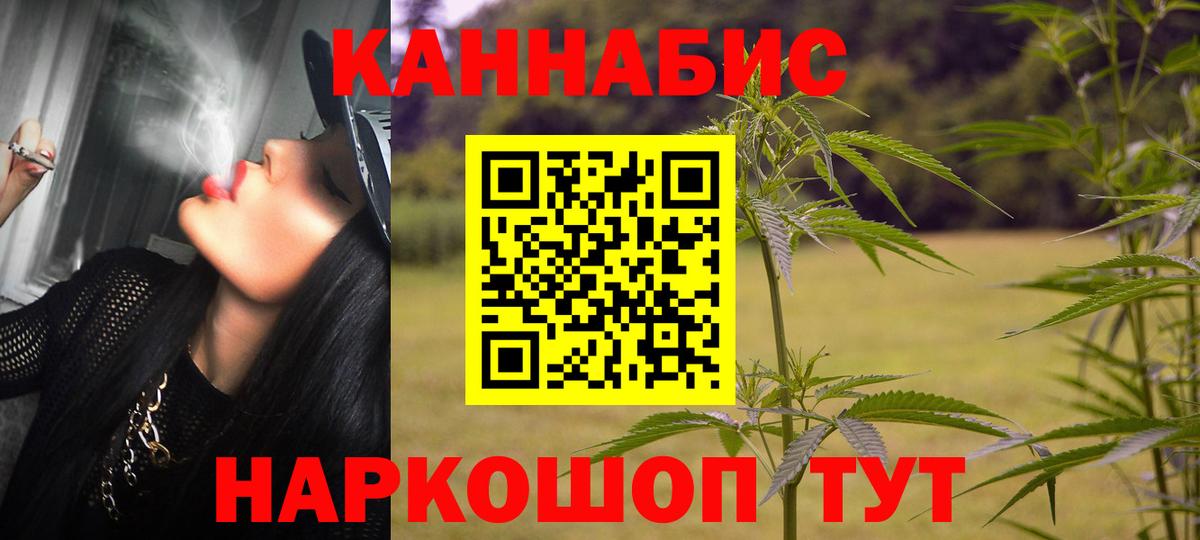 Каннабис индика Саров